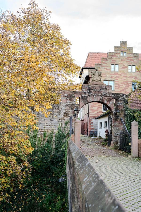 Eventlocation & Hotel Schloss Neuburg Obrigheim Екстер'єр фото